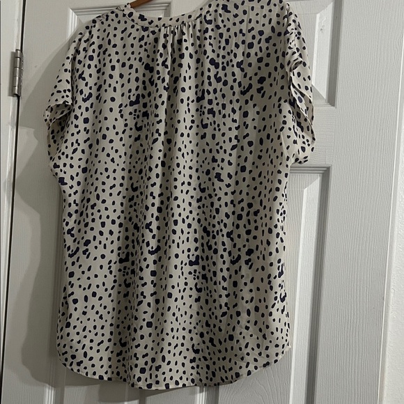 Cabi - Picture 2 of 4